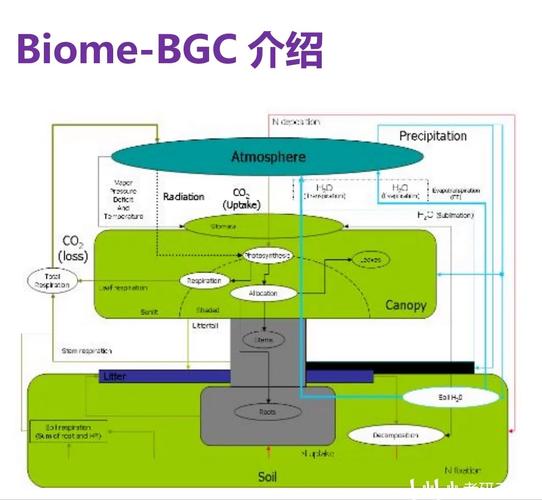 om biome,Om Biome: A Deep Dive into the World of Ecosystems