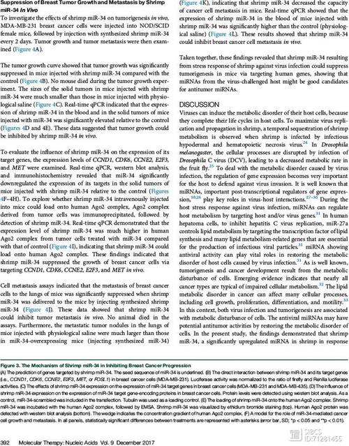 om cancer,Understanding Ovarian Cancer: A Comprehensive Overview