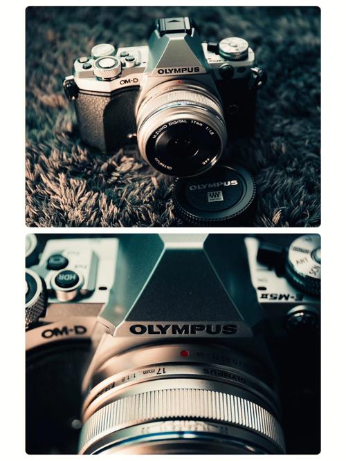 olympus om de m5 mark ii review,Introduction