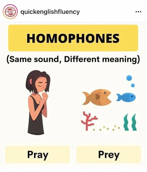 om homophones,Om Homophones: A Comprehensive Guide