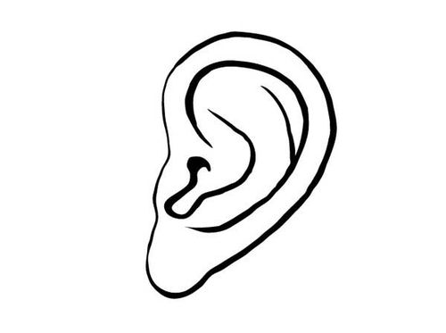 om ear,Understanding the Om Ear: A Comprehensive Guide