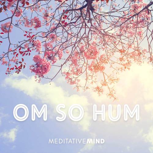 om hum so hum,Om Hum So Hum: A Journey into the Heart of Mantra Meditation