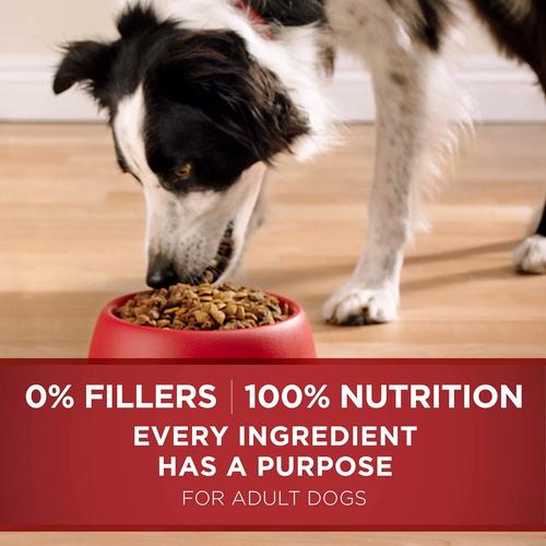 purina one om dog food,Understanding Purina One Om Dog Food: A Comprehensive Guide