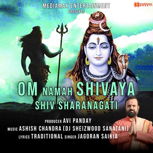 om hrim namah shivaya om meaning,Discovering the Profound Meaning of “Om Hrim Namah Shivaya Om”: A Detailed Exploration