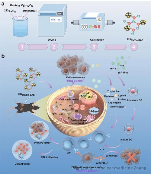 om immune multi boost,Om Immune Multi Boost: A Comprehensive Overview