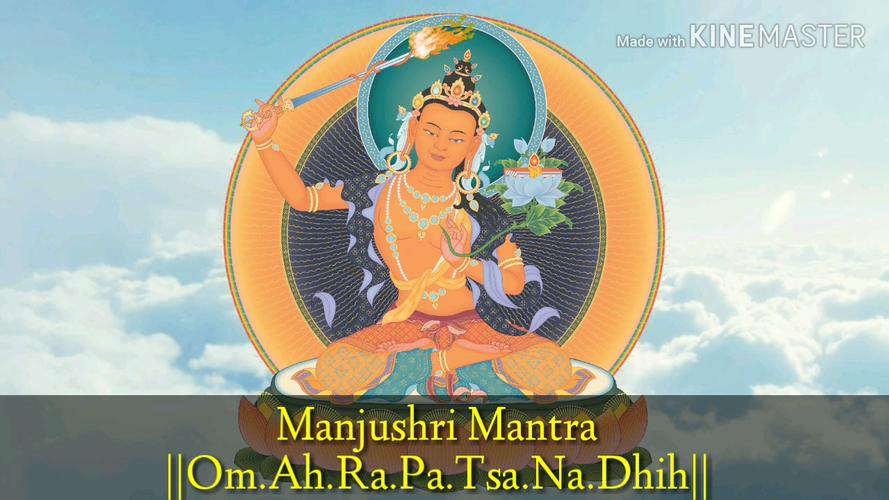 om dhan dhanvantari namah,Origins of the Mantra