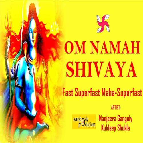 how many times om namah shivay,How Many Times Om Namah Shivay?